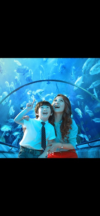 784ad68d2bd4f6fc733e5dd66bd524d